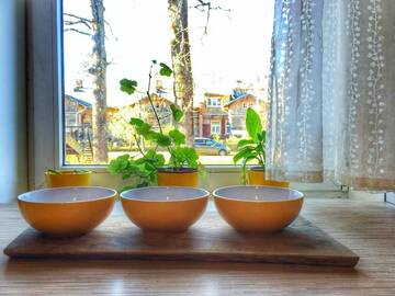 Фото номера Апартаменты-студио Апартаменты Sunflower Apartments г. Лигатне 17